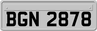 BGN2878