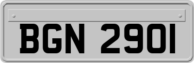 BGN2901