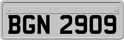 BGN2909
