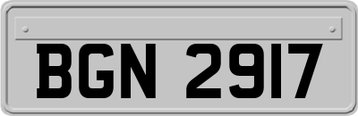 BGN2917