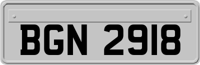 BGN2918