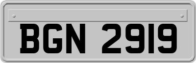 BGN2919