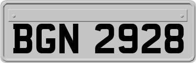 BGN2928