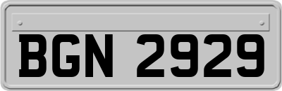 BGN2929