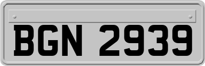 BGN2939