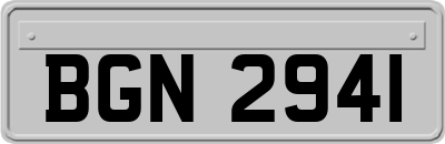 BGN2941