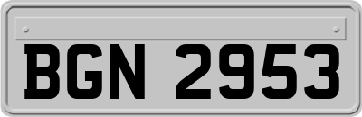 BGN2953