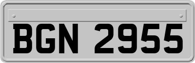 BGN2955