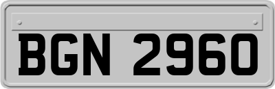 BGN2960