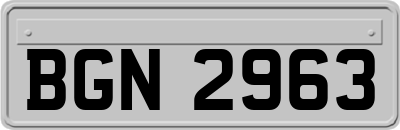 BGN2963