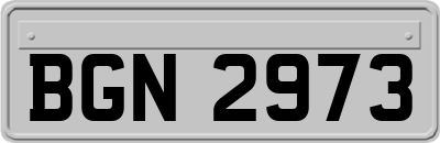 BGN2973