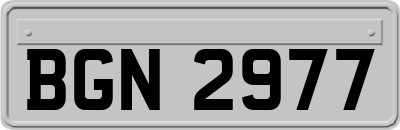 BGN2977