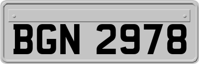 BGN2978