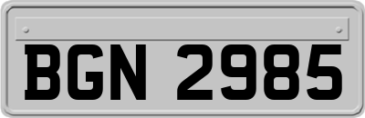 BGN2985