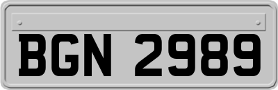 BGN2989