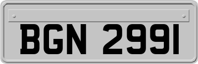 BGN2991