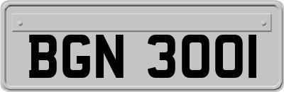 BGN3001