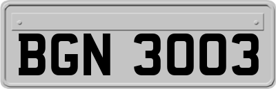 BGN3003
