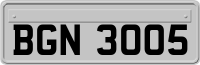 BGN3005
