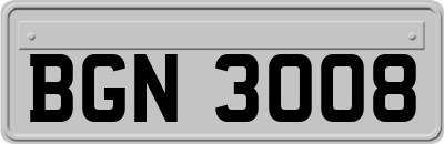 BGN3008