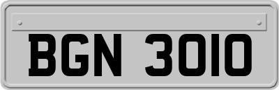 BGN3010
