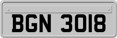 BGN3018