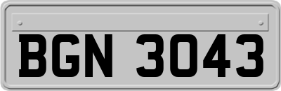 BGN3043