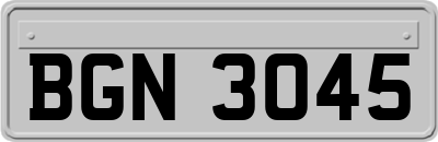 BGN3045