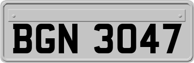 BGN3047
