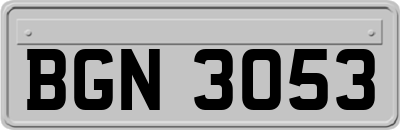 BGN3053