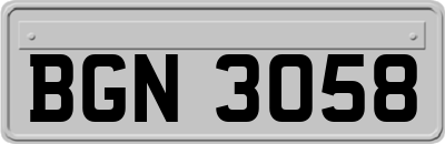 BGN3058