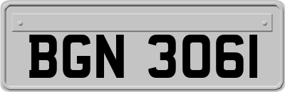 BGN3061