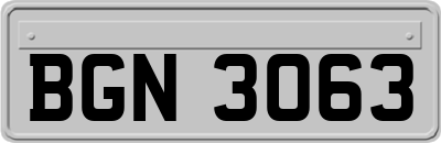 BGN3063