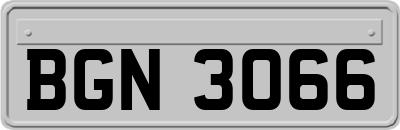 BGN3066