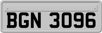 BGN3096