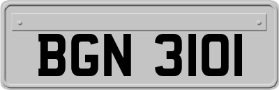 BGN3101