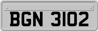 BGN3102
