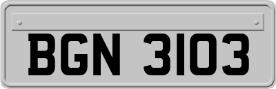 BGN3103