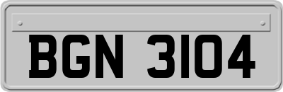 BGN3104