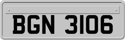 BGN3106