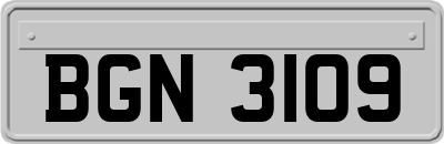 BGN3109