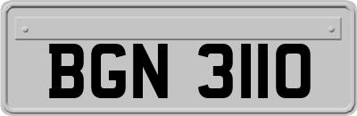 BGN3110