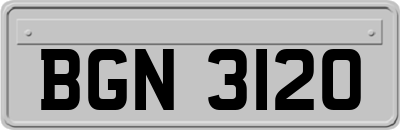BGN3120