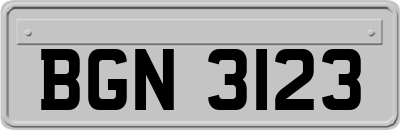 BGN3123