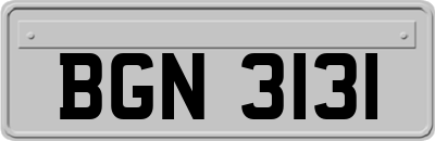 BGN3131