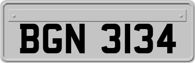 BGN3134