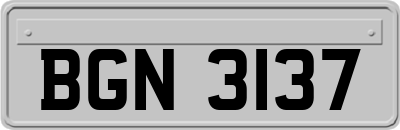 BGN3137