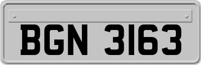 BGN3163