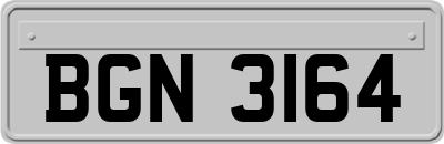 BGN3164