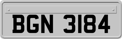BGN3184